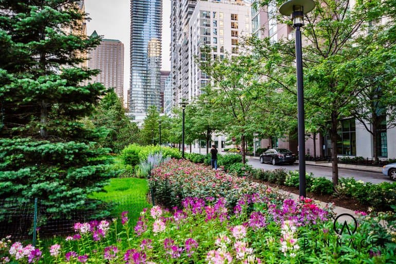 Lakeshore East