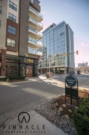 The Gulch
