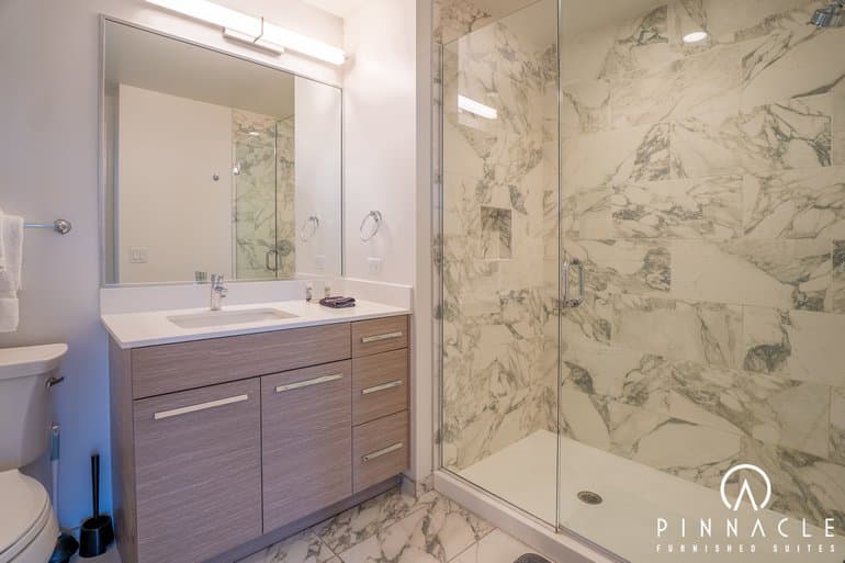 727 West Madison 1 Bedroom 08
