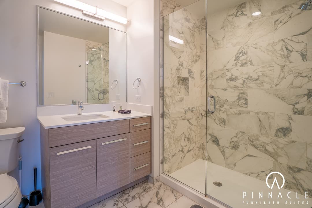 727 West Madison 1 Bedroom 08