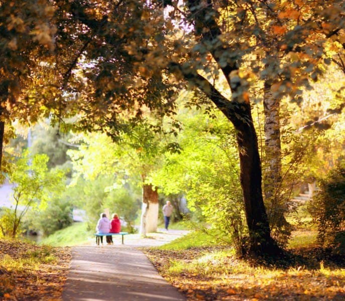 7 Things You Should Do This Fall in Chicago