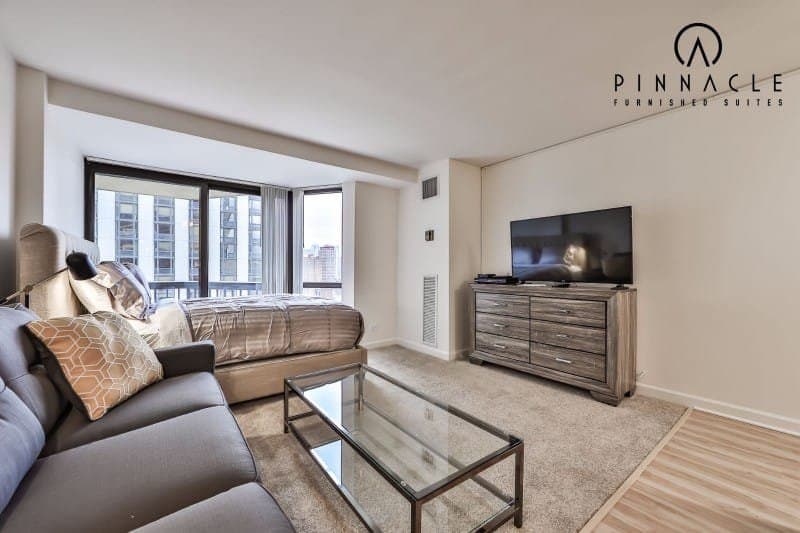 1133 N Dearborn Studio 08