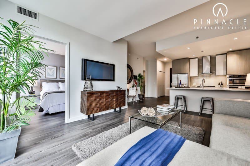 640 North Wells 1 Bedroom 60