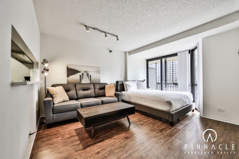 1133 N Dearborn Studio 08-2